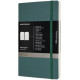 Notebook Undated Moleskine PRO 13 x 21 cm 240 pages Green (8058647620794)