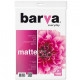 Paper Barva Everyday Matte 125 g/m2 A4 100 l (IP-AE125-318)