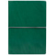 Great glider Ciak 15 x 21 cm green line