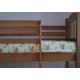 Bunk bed Venger Eva made of natural wood Alder Brown