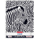 Herlitz Animal Print Zebra A4 checkered notebook 80 sheets (50036585Z)