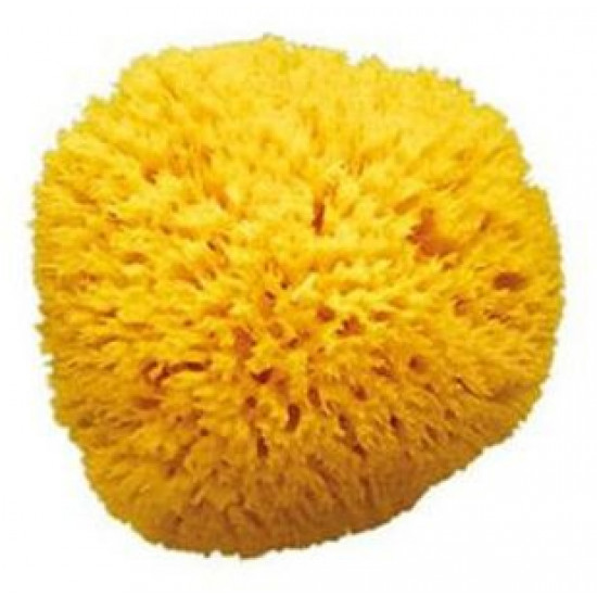 Натуральна морська губка Ok Baby Honeycomb Sea Sponge розмір 10 (38471000)