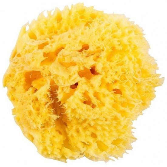 Натуральна морська губка Ok Baby Honeycomb Sea Sponge розмір 12 (38471200)