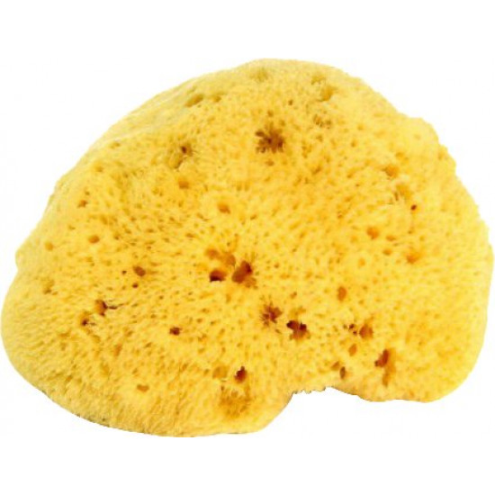 Натуральна морська губка Ok Baby Honeycomb Sea Sponge розмір 14 (38471400)