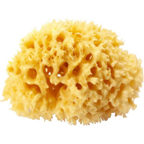 Натуральна морська губка Ok Baby Silk Fine Sea Sponge розмір 16 (38481600)