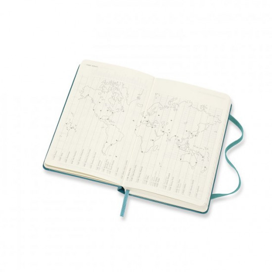 Schodennik Moleskine 2020 Kishenkovy / Magnetic Green (8058647628318)