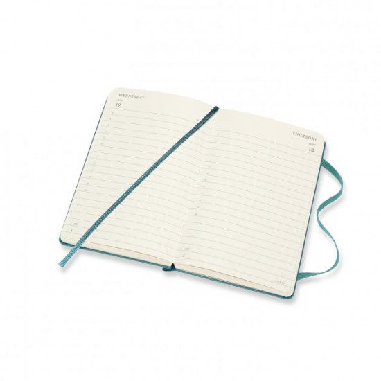 Schodennik Moleskine 2020 Kishenkovy / Magnetic Green (8058647628318)