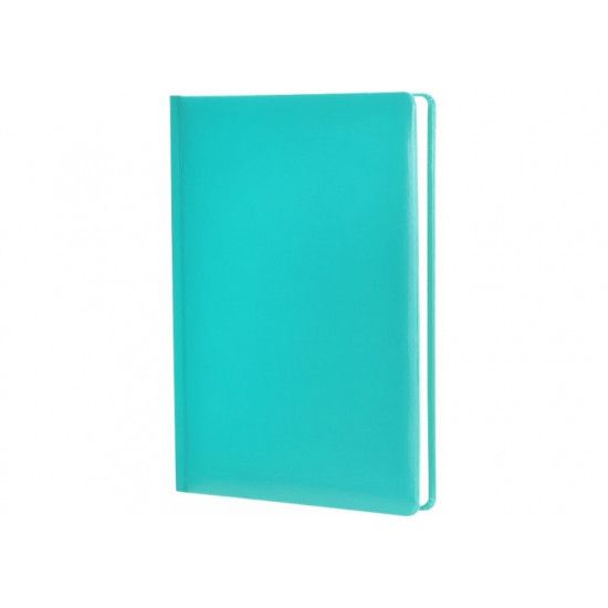 Diary undated Economix Spectrum A5 288 sheets turquoise (E22021)