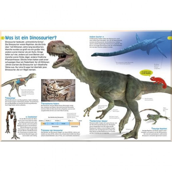 Dorling Kindersley Verlag memo Wissen entdecken: Dinosaurier. Eva Sixt. ISBN:9783831033874