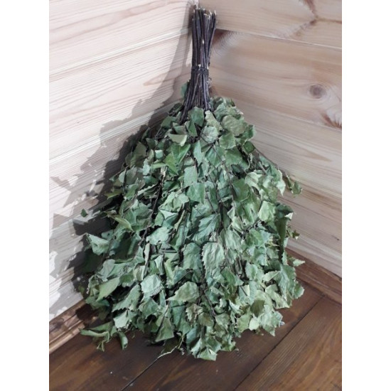 Birch broom for lazna and sauna