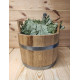 Oak bucket for bath or sauna with stainless steel hoops 25 l