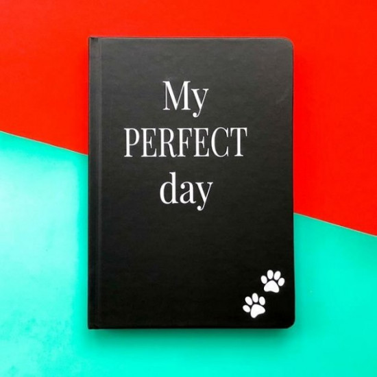 Notebook with a cat Tail and Whiskers Diary My perfect day undated Russian language Black