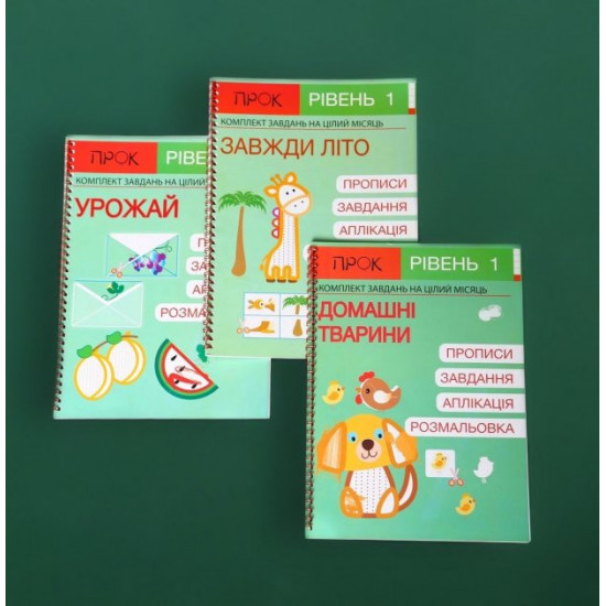 Developmental notebooks PROK Level 1 2-3-4 years Set of 3 notebooks No. 4