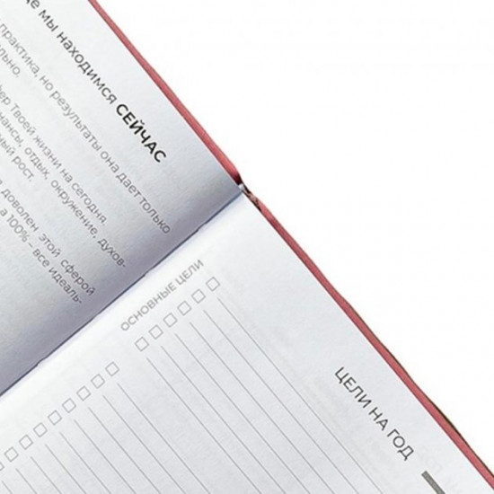 Planner-diary for a year LifeFLUX 