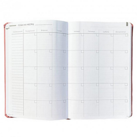 Planner-diary for a year LifeFLUX 