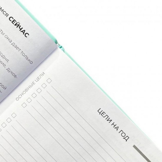 Planner-diary for a year LifeFLUX 