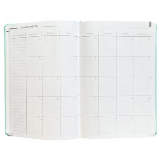 Planner-diary for a year LifeFLUX 