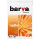 Paper Barva A4 Everyday matted 190g 60s (IP-AE190-291)