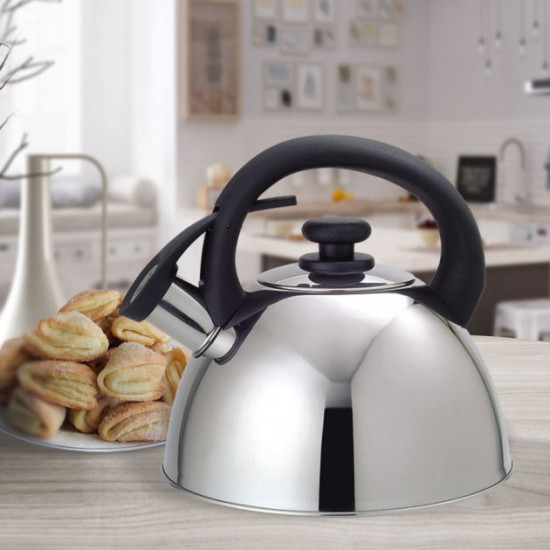 Kettle Maestro MR-1302