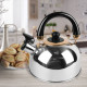 Kettle Maestro MR-1301-h (3.5 l)