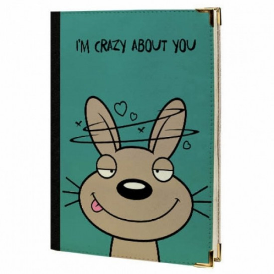 Diary Memos I am crazy about you