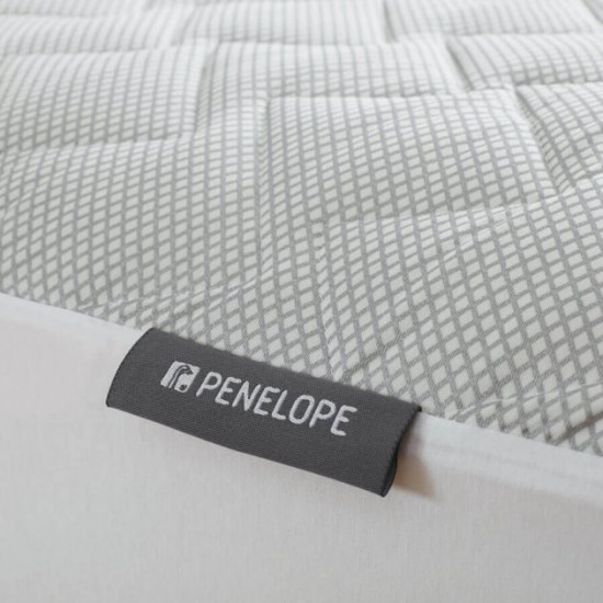 Mattress cover Penelope Thermocool Pro anti-allergenic 120*200+30 (svt-2000022275095)