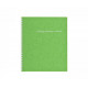 Spring notebook Buromax Barroko B5 80 sheets light green (BM.2419-615)