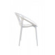 Dining chair P-09/815*590*610 plastic color White Wind Furniture