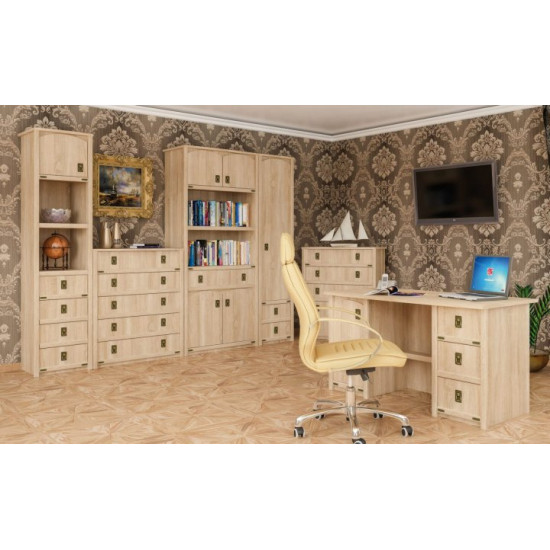 Bookcase for a children's room made of chipboard Valencia Furniture Service