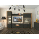 Showcase in the living room made of chipboard Adele 900 2D Sokme oak craft tobacco/northern wood