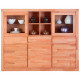 Showcase sideboard in the living room G014 beech wood Mobler