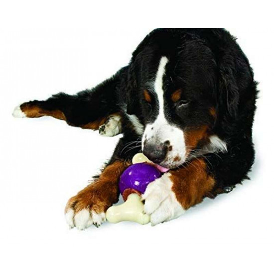 Premier Bouncy Bone - A superstrong toy feeding trough for dogs