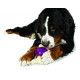 Premier Bouncy Bone - A superstrong toy feeding trough for dogs