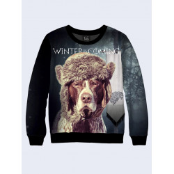 Mens 3D-print sweatshirt - Dog in a hat. Made in Ukraine.