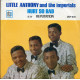 Little Anthony And The Imperials ‎– Hurt So Bad