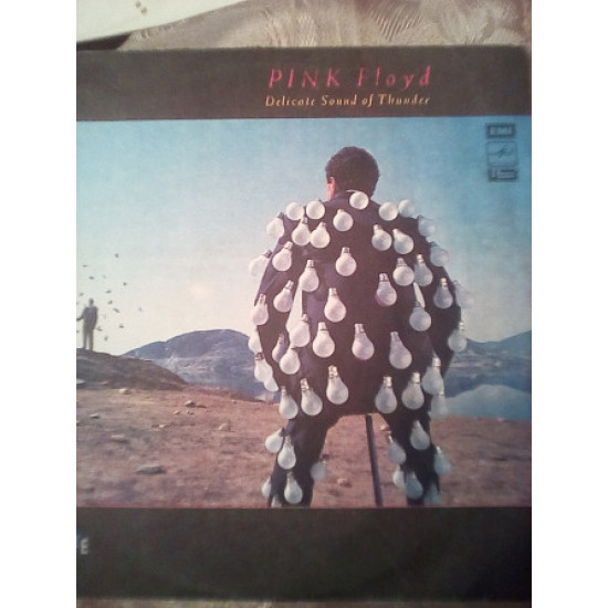 PINK FLOYD - Delicate Sound of Thunder (2LP)